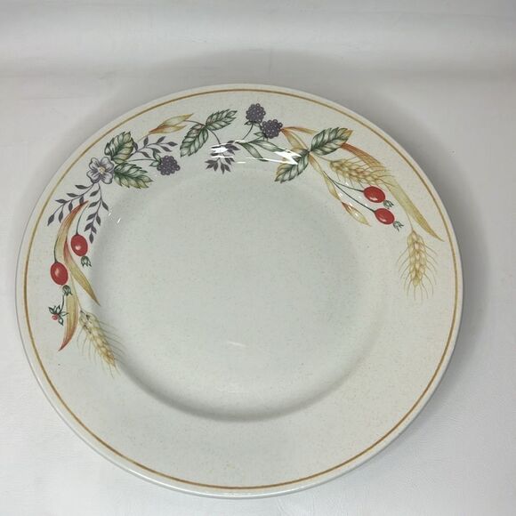 Churchill Plates Made Staffordshire England Fine Tableware 9 1/2 In Round Set 3 - Picture 7 of 8